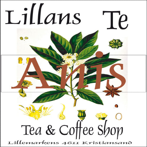 Anis te