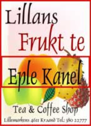 Eple kanel frukt-te