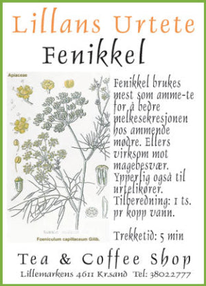 Fennikel