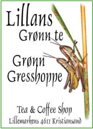 Grønn gresshoppe