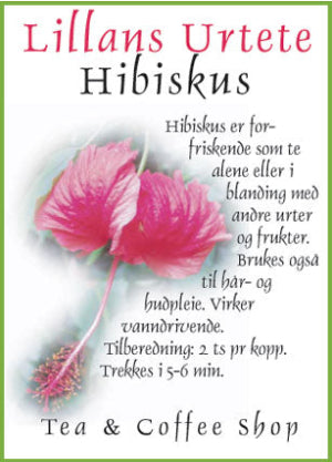Hibiscus