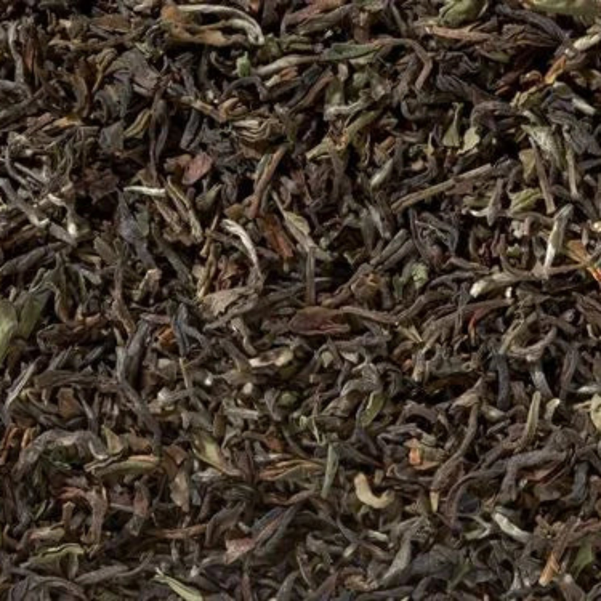 Darjeeling Second Flush Jungpana