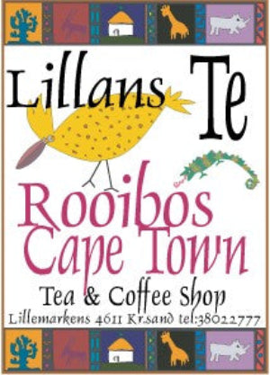 Rooibos Cape Town