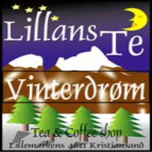 Vinterdrøm